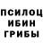 Галлюциногенные грибы Psilocybe Ovoshebaza71